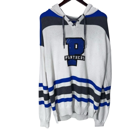 Bruzer Panthers Knit Hooded Sweater Size XL Academia Collegiate Preppy - Picture 1 of 12